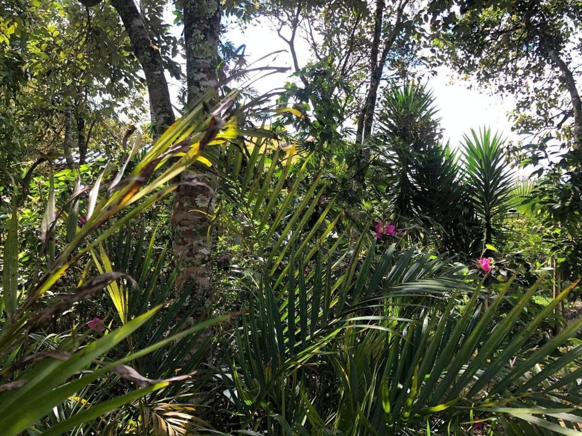 Macondo Chales Lavras Novas Luaran gambar